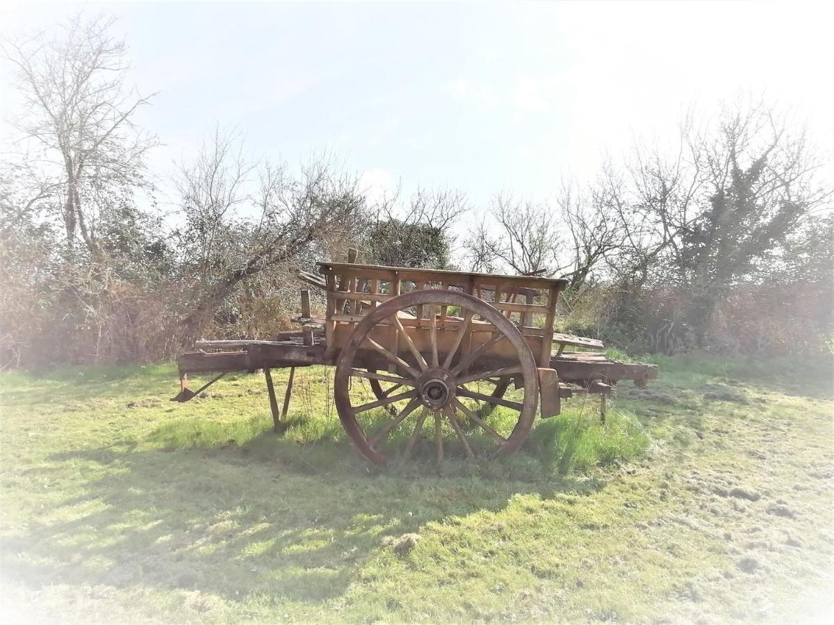 Domaine De Gaia, Piscine, Petanque, Ping Pong, Proche Saint-Emilion Bed and Breakfast Guillac  Εξωτερικό φωτογραφία